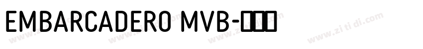 Embarcadero MVB字体转换